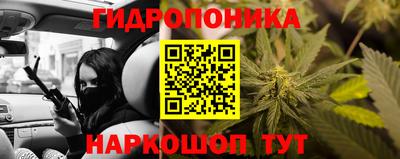 стафф Коммунар