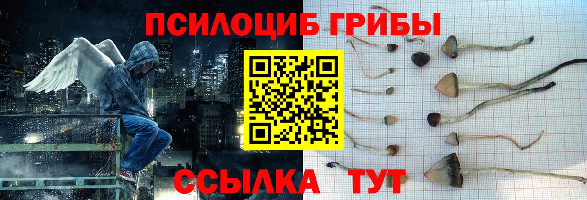 Кашира  Галлюциногенные грибы ЛСД  Вход с VPN 